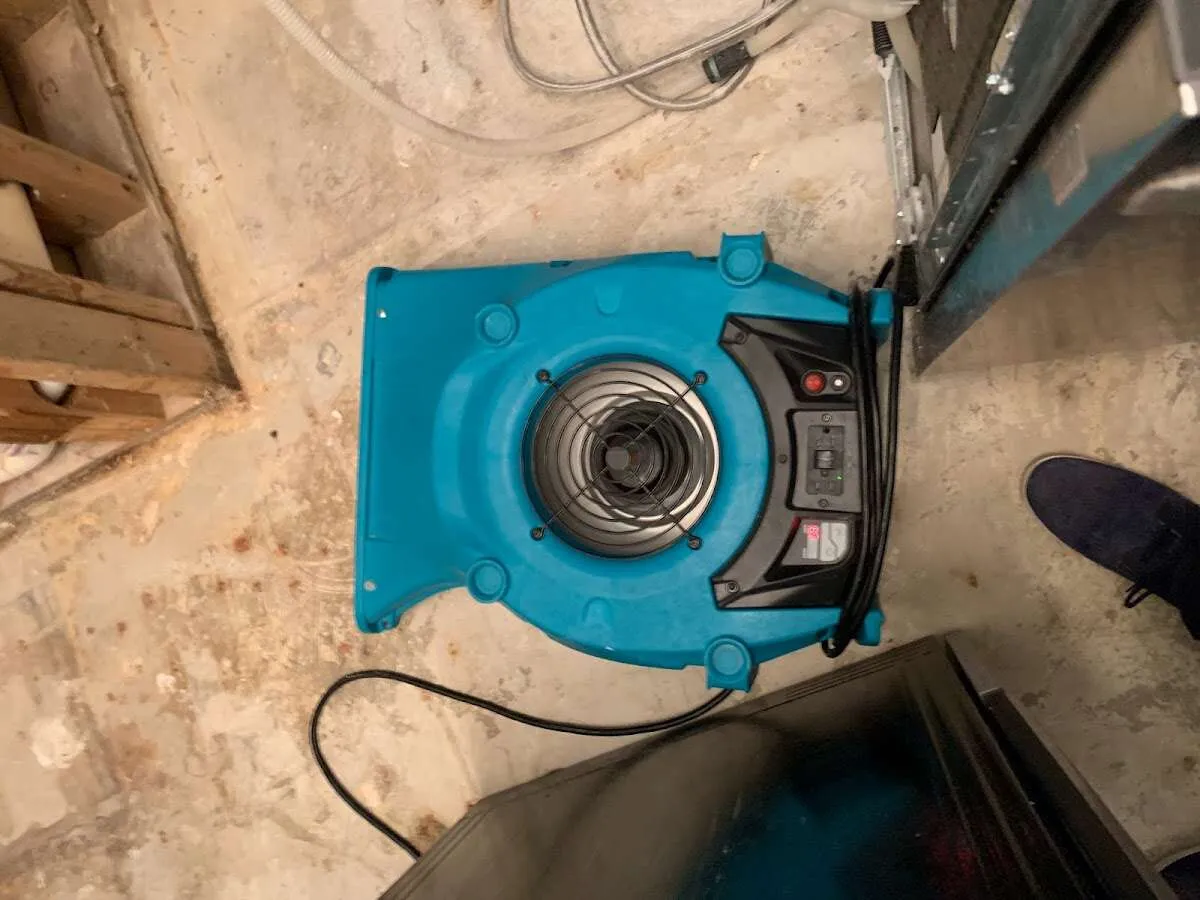 Air mover drying equipment for Mold Remediation & Removal in Woodridge